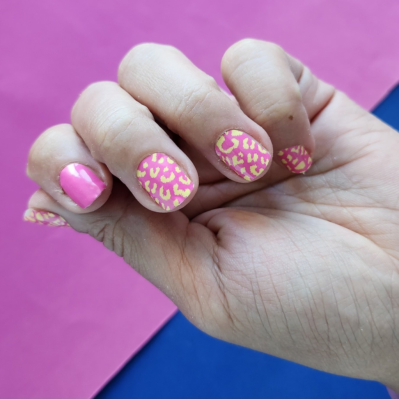 Orange Pink-2